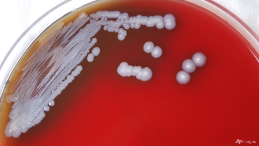 Bacterial infections the 'second leading cause of death worldwide'