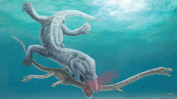 化石的发现显示巨大的海洋生物被恐龙掠食者斩首