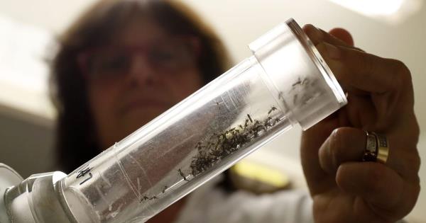 欧洲的登革热高峰引发了对更多感染和死亡的恐惧